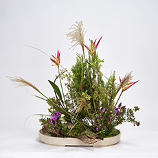 小原流台北支部 2025 會員大會 展示作品