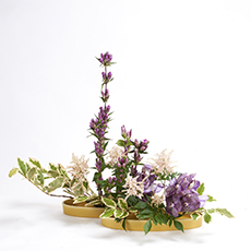 小原流台北支部 2025 會員大會 展示作品