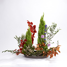 小原流台北支部 2025 會員大會 展示作品