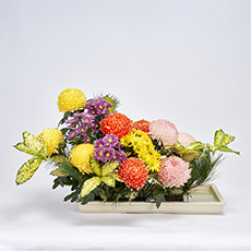 小原流台北支部 2025 會員大會 展示作品