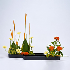 小原流台北支部 2025 會員大會 展示作品