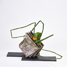 小原流台北支部 2025 會員大會 展示作品