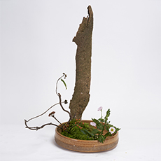 小原流台北支部 2025 會員大會 展示作品