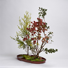 小原流台北支部 2025 會員大會 展示作品