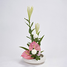 小原流台北支部 2025 會員大會 展示作品