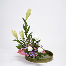 小原流台北支部 2025 會員大會 展示作品