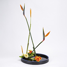 小原流台北支部 2025 會員大會 展示作品