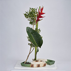 小原流台北支部 2025 會員大會 展示作品