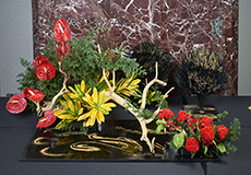 小原流台北支部　花展展花