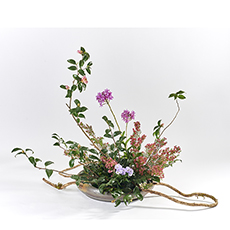 小原流台北支部　花展展花