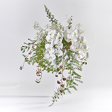 小原流台北支部　花展展花
