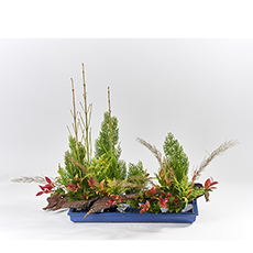 小原流台北支部　花展展花