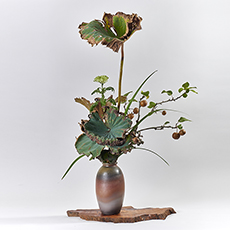 小原流台北支部　花展展花