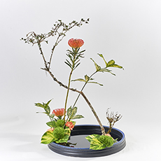 小原流台北支部　花展展花