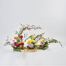 小原流台北支部　花展展花