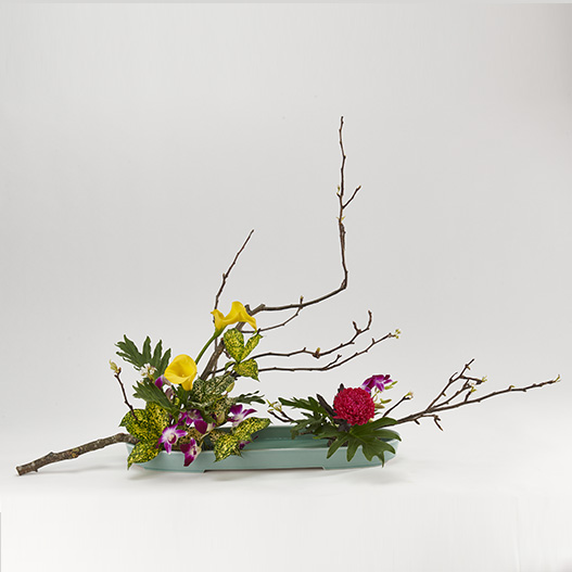 小原流台北支部 花潮62期 花展展花