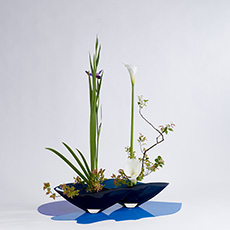 小原流台北支部 花潮62期 花展展花