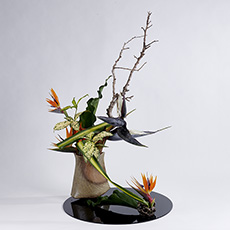小原流台北支部 花潮62期 花展展花