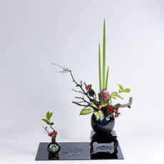 小原流台北支部 花潮62期 花展展花