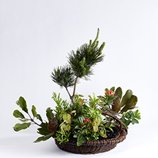 小原流台北支部 花潮62期 花展展花