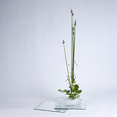 小原流台北支部 花潮62期 花展展花