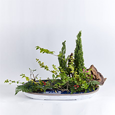 小原流台北支部 花潮62期 花展展花