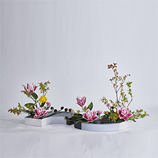 小原流台北支部 花潮62期 花展展花