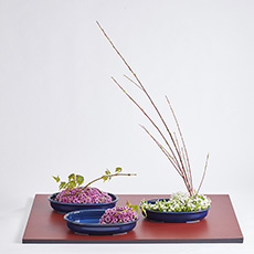 小原流台北支部 花潮62期 花展展花