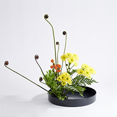 小原流台北支部 花潮62期 花展展花