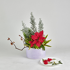 小原流台北支部　花展展花