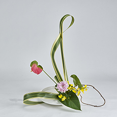 小原流台北支部　花展展花
