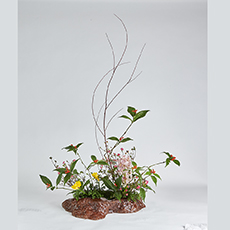 小原流台北支部　花展展花