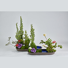 小原流台北支部　花展展花