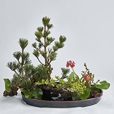 小原流台北支部　花展展花