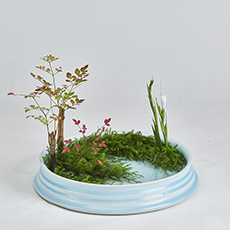 小原流台北支部　花展展花