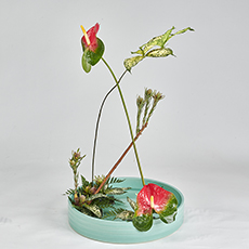 小原流台北支部　花展展花