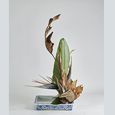 小原流台北支部　花展展花