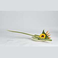 小原流台北支部　花展展花