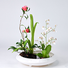 小原流插花