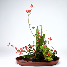 小原流插花