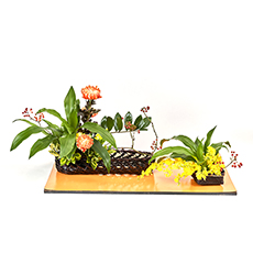 小原流台北支部20241110會員大會展示作品